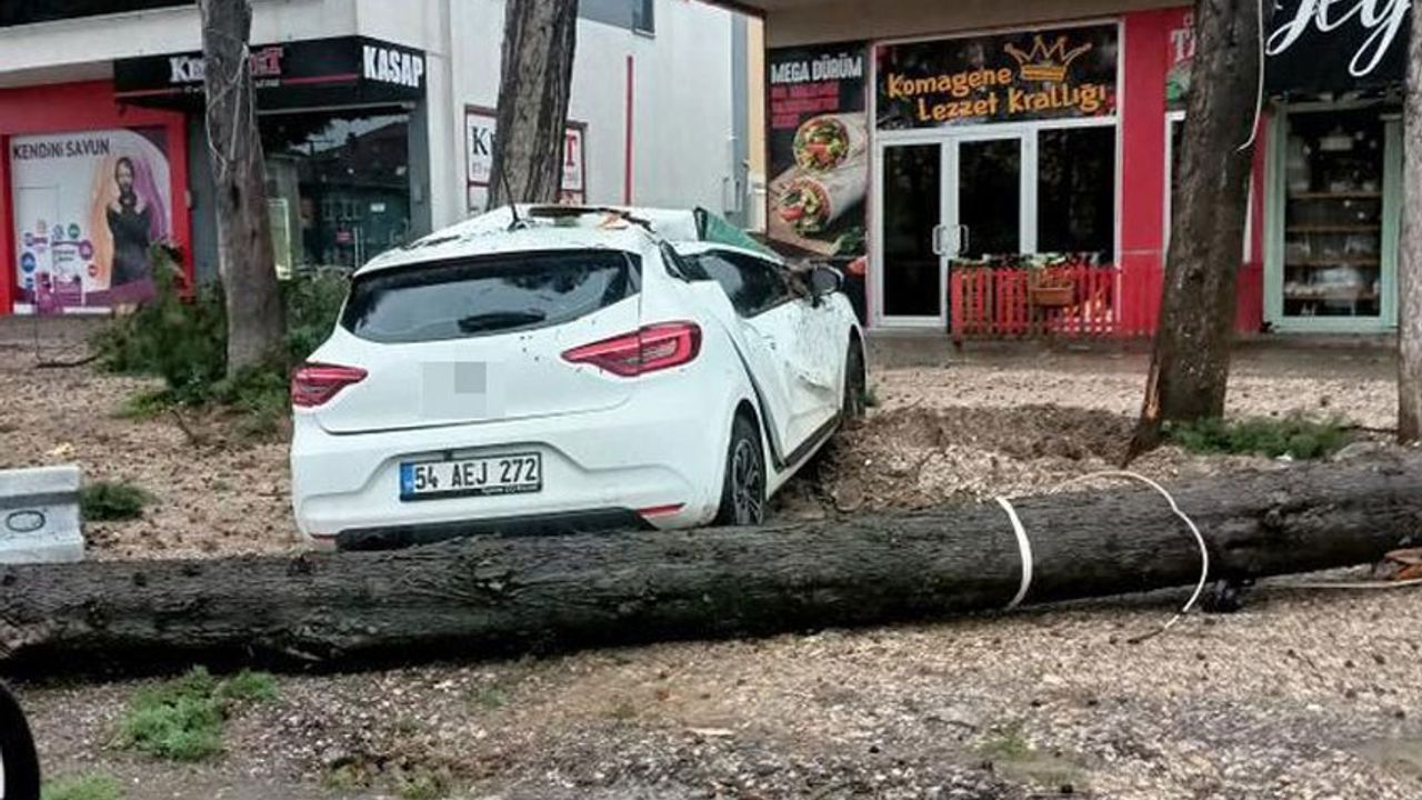 Fırtınada sökülen ağaç otomobilin üzerine devrildi