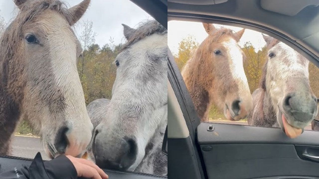 知乎知学堂  知乎