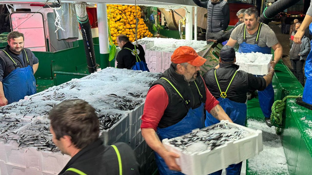 Balıkçılar 300 ton hamsiyle döndüler: Ücretsiz dağıttılar
