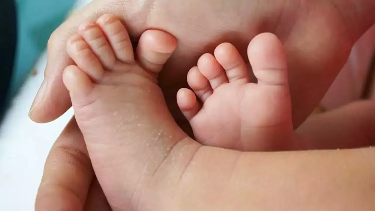 Tüp Bebek Tedavisinde Merak Edilenler: Süreçler ve Başarı Oranları