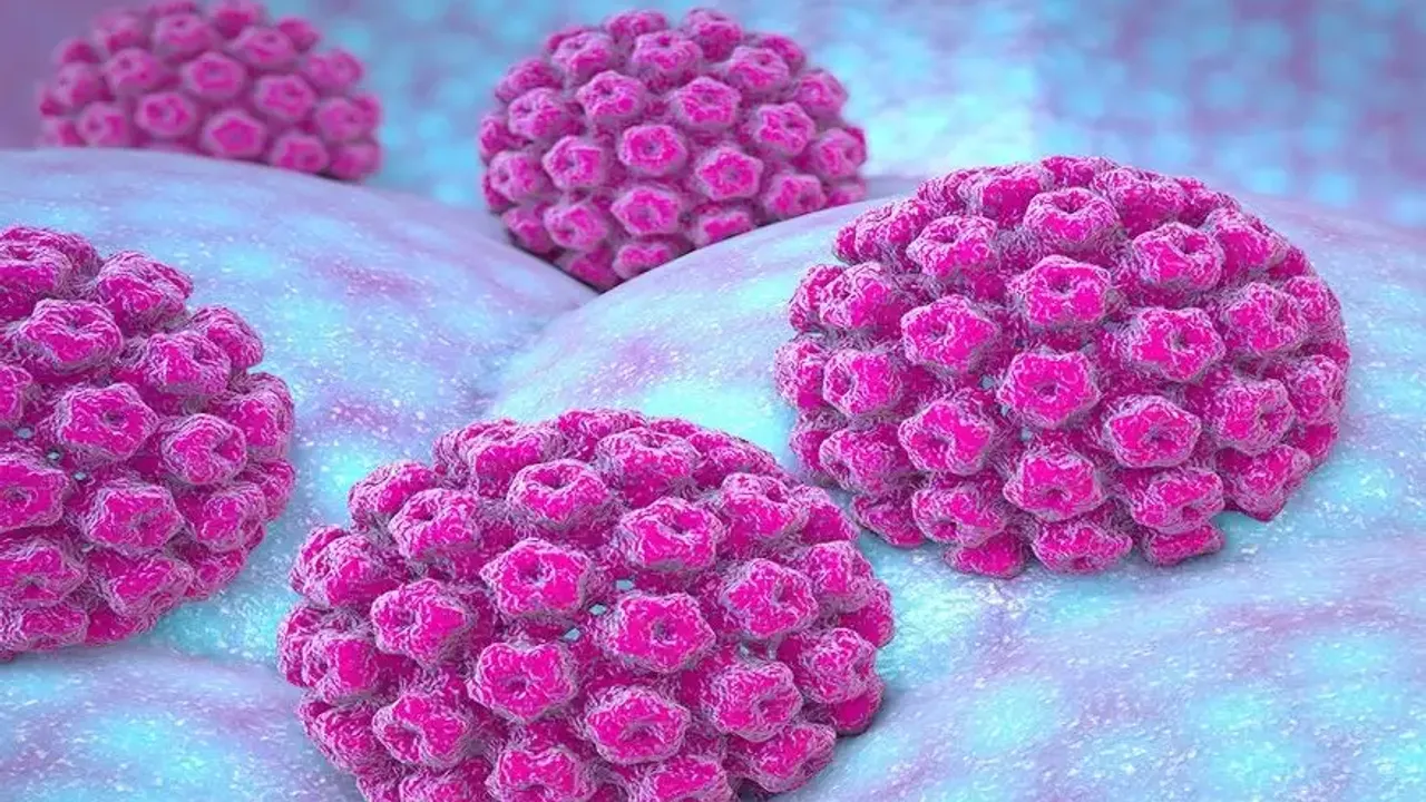HPV Virüsü Nedir?
