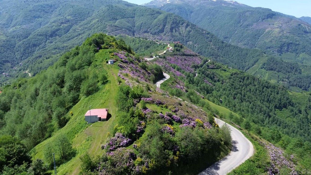 Öğretmenin dron merakı, yatağa bağımlı meslektaşının gözü oldu