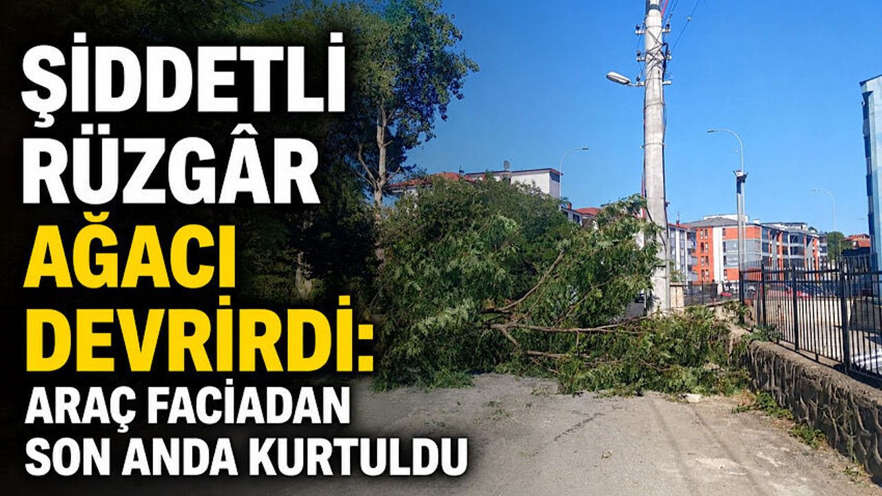 Şiddetli rüzgâr ağacı devirdi: Araç faciadan son anda kurtuldu