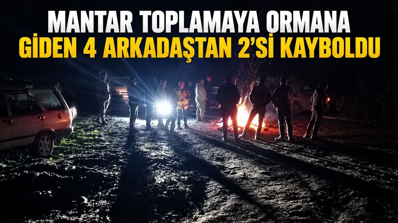 Bartın'da mantar toplamaya ormana giden 4 arkadaştan 2'si kayboldu