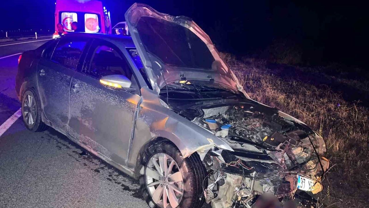 Otomobil domuz sürüsüne çarptı: 2 yaralı