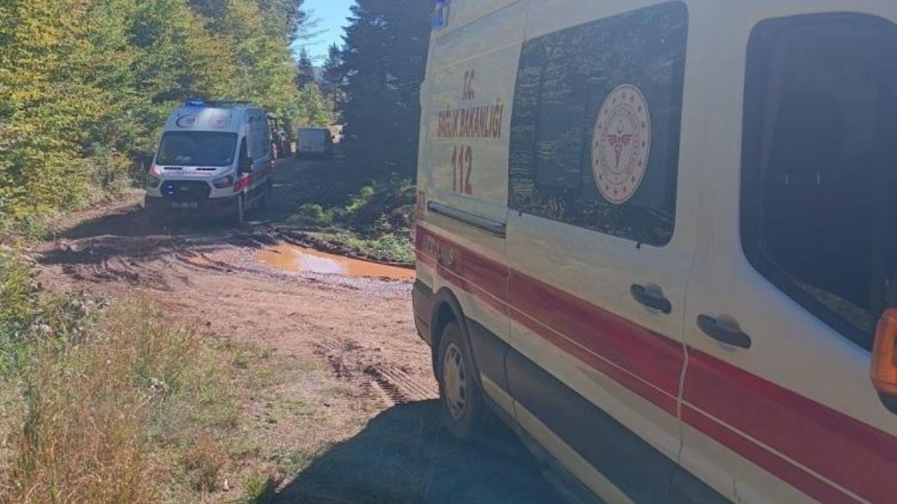 Mantar toplamaya giden ailenin traktörü devrildi: Dede hayatını kaybetti, torunu yaralandı