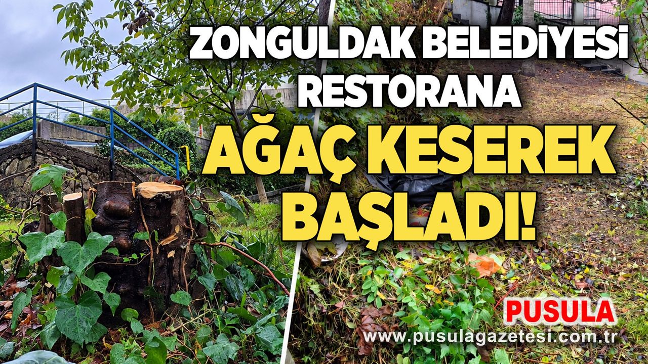 Zonguldak Belediyesi restorana ağaç keserek başladı!