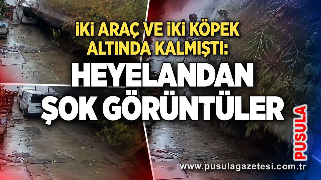 İki araç ve iki köpek altında kalmıştı: Heyelandan şok görüntüler
