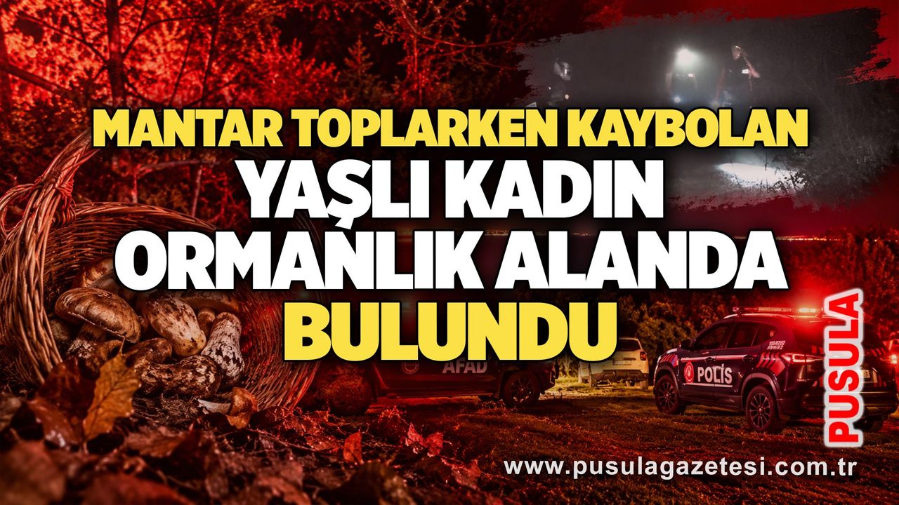 Mantar toplarken kaybolan yaşlı kadın ormanlık alanda bulundu