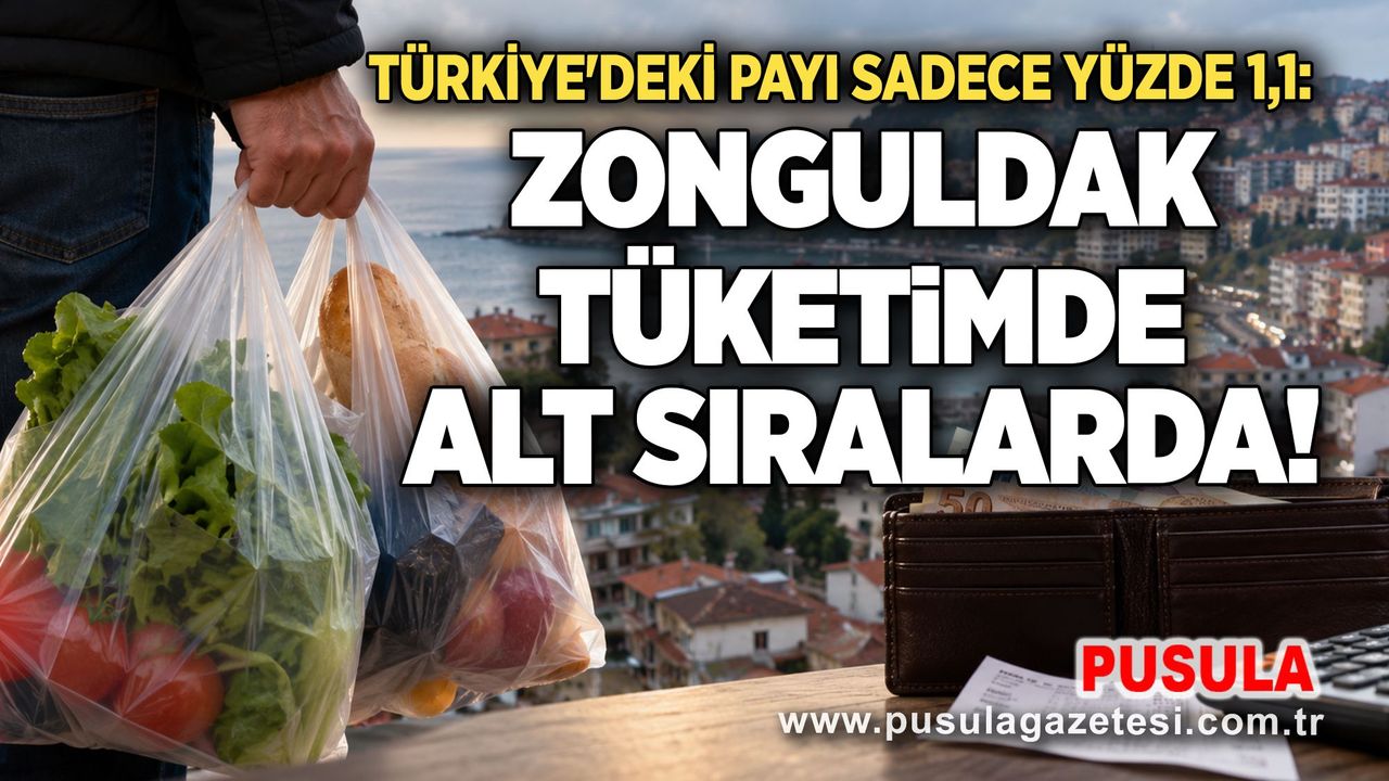 Türkiye'deki payı sadece yüzde 1,1: Zonguldak tüketimde alt sıralarda!