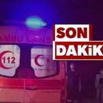 TTK’da boğazını arı sokan madenci yoğun bakıma kaldırıldı!