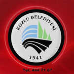 Kozlu Belediye Başkanlığı paletli ekskavatör kiralanması hizmet alımı