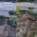Asma'da 3 yıldır bu yol böyle: “Lütfen bize yardım edin”