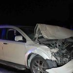 Yola çıkan hayvanlara otobüs ve cip çarptı: 3 inek telef oldu