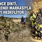 4 yıl önce dikti, şimdi kendi markasıyla satmayı hedefliyor