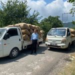 Fındık tüccarından üreticiye kritik uyarı: 'Dalından toplamayın, yere dökülmesini bekleyin'