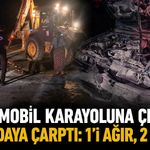 Otomobil karayoluna çıkan 3 mandaya çarptı: 1'i ağır, 2 yaralı