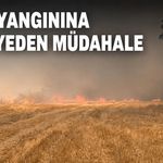 Anız yangına itfaiyeden müdahale