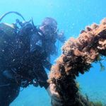 Karadeniz kıyılarındaki ilk su altı kazısında 2 bin 500 yıllık tarihe daldılar