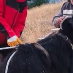 Çukurda mahsur kalan keçiyi itfaiye ekipleri kurtardı
