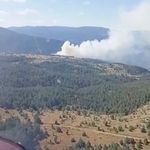 Orman yangını ekiplerin hızlı müdahalesiyle söndürüldü