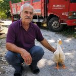 Torunların hevesi geçti, dedenin en yakın dostu oldu