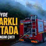 Aynı köyde iki farklı noktada orman yangını çıktı