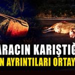 3 aracın karıştığı kazanın ayrıntıları ortaya çıktı