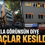 Tabela görünsün diye ağaçlar kesildi!