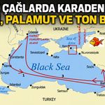 Antik çağlarda Karadeniz’de hamsi, palamut ve ton balığı