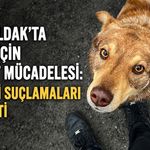 Zonguldak’ta “Leo” için adalet mücadelesi: Şüpheli suçlamaları reddetti