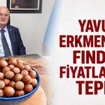 Yavuz Erkmen’den fındık fiyatlarına tepki