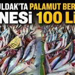 Zonguldak'ta palamut bereketi: Tanesi 100 Lira