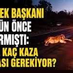 Dernek Başkanı iki gün önce uyarmıştı: Daha kaç kaza olması gerekiyor?