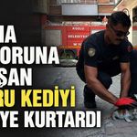 Klima motoruna sıkışan yavru kediyi itfaiye kurtardı