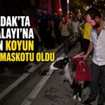 Zonguldak’ta Fener Alayı’na katılan koyun gecenin maskotu oldu