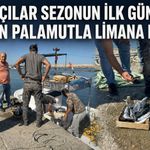 Balıkçılar sezonun ilk gününde 50 ton palamutla limana döndü