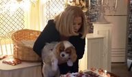 Köpeği Gofret'in doğum gününü böyle kutladı