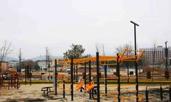 Bu parkta yok yok