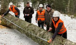 Gölyaka’da orman üretim bölmeleri kontrol edildi