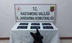 Jandarmanın durdurduğu araçta 298 adet sentetik ecza hap ele geçirildi: 4 gözaltı
