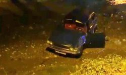 Alkollü sürücü ırmağa uçtu 