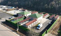 Sokak Hayvanları Rehabilitasyon Merkezi'nde sona doğru