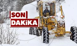 Kar, Zonguldak'ta 9 köy yolunu kapattı