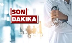Zonguldak'a 12 doktor atandı
