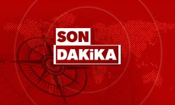 İnsan ve hayvan sağlığına zararlı: Zonguldak'a uyarı geldi