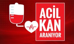 Belediye Meclis Üyesi için acil kan aranıyor!