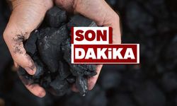 Zonguldak'ta ihtiyaç sahiplerine kömür dağıtımı başladı