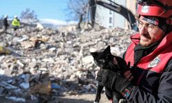 Kahramanmaraş’ta 174 saat sonra enkazdan ‘Ardıç’ isimli kedi kurtarıldı