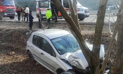 Otomobil ceviz ağacına çarptı: 2 yaralı